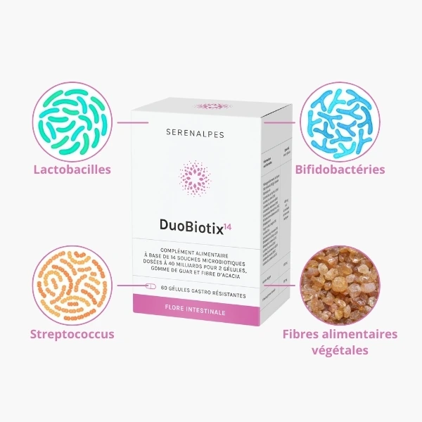 DBT Ingredients