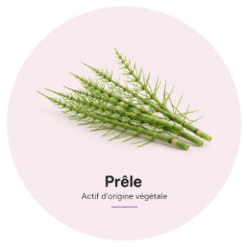 ECA prele