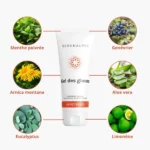 GDG Ingredients