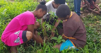 serenalpes engagement madagascar jardins du monde